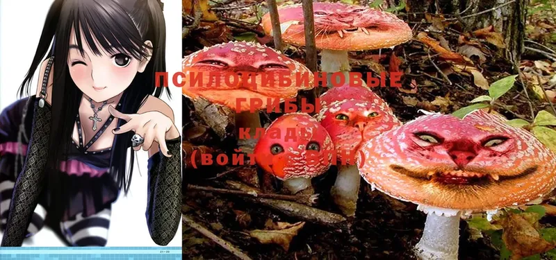 Псилоцибиновые грибы Psilocybe  даркнет официальный сайт  Аргун  что такое  